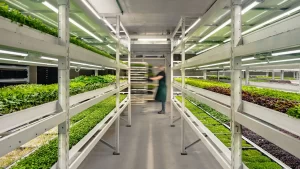 SYDRS-P0004-Greenspace-Sustainability-Wide-Blur.16x9